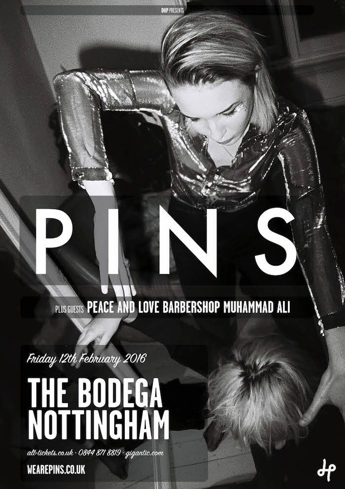PINS gig poster image